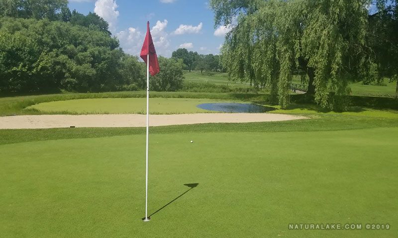 Golf Course Pond Management